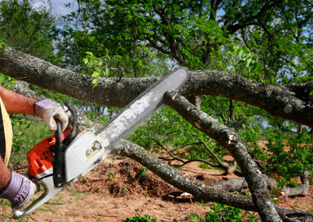 Landscape Design and Installation in Moores Mill, AL